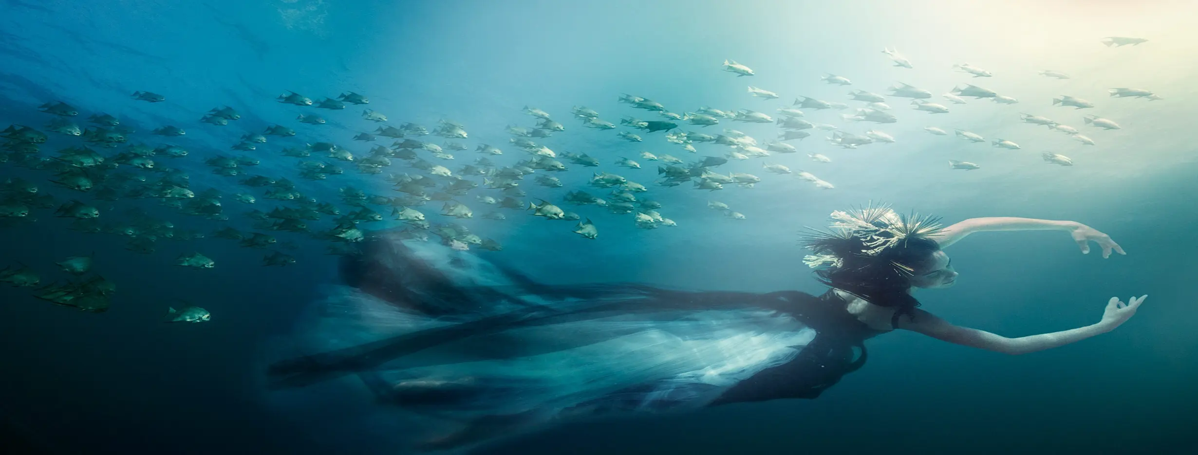 Image for Enchanting Underwater